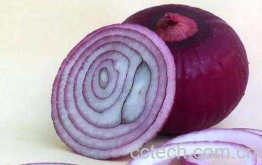 洋葱水治咳嗽是真的吗 洋葱水怎么煮-1