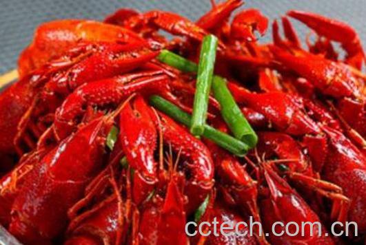 龙虾的营养价值及功效-0