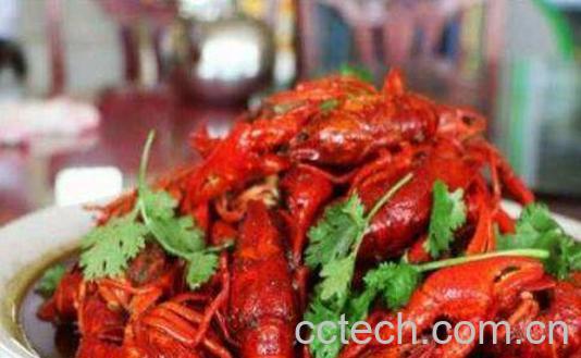 龙虾的营养价值及功效-1