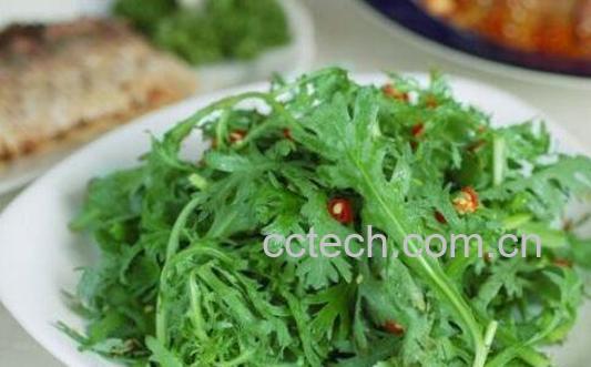 茼蒿的功效与作用-0