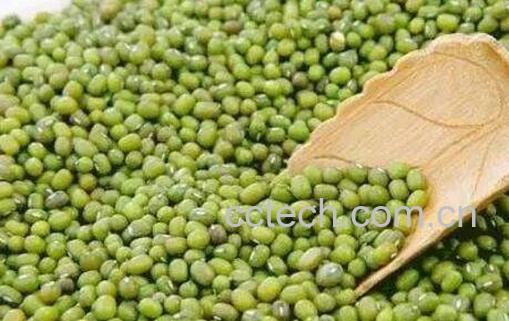 绿豆怎么煮容易烂 绿豆汤怎么做是绿色的-0