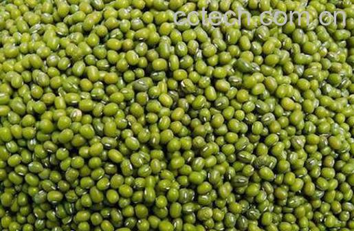 绿豆怎么煮容易烂 绿豆汤怎么做是绿色的-1