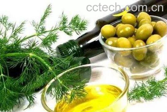 棕榈油的功效与作用 棕榈油的特点-0