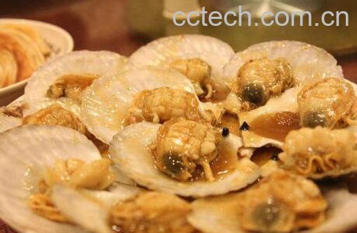 扇贝哪里不能吃 吃扇贝的禁忌-0