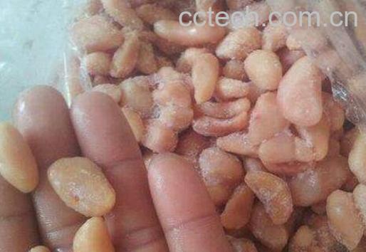 鸡腰子的功效与作用-0