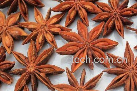 八角茴香的功效与作用及食用方法-0