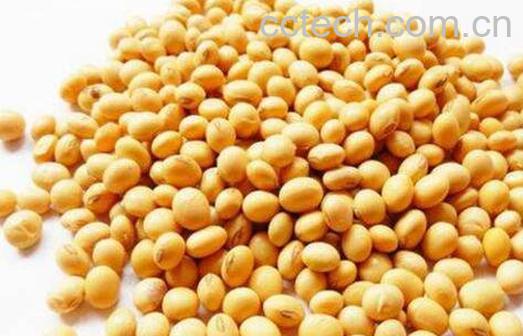 干豆的功效与作用-0