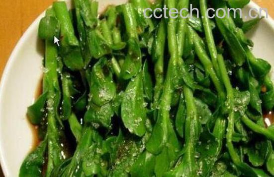 救心菜的功效与作用 救心菜的常见吃法-1