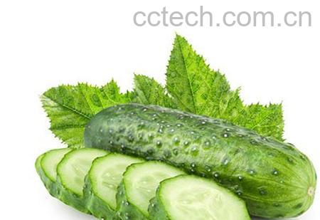 黄瓜营养价值-0