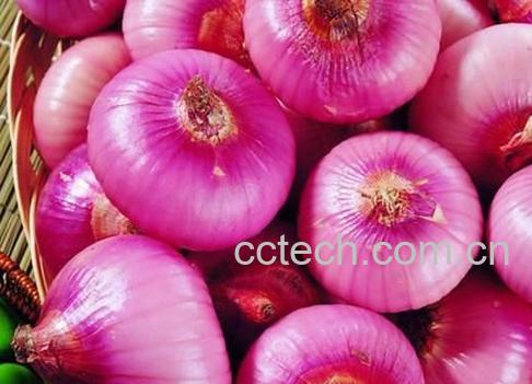 洋葱功效和营养-1