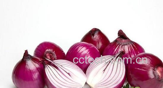 洋葱功效-0