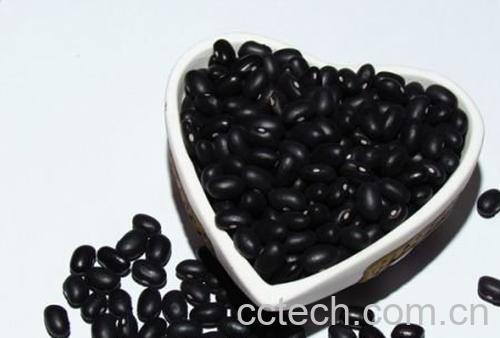 黑豆的作用-0