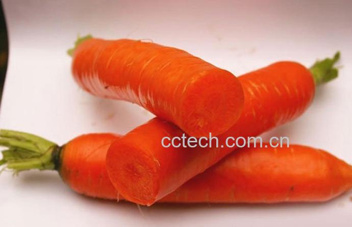 胡萝卜营养价值-1