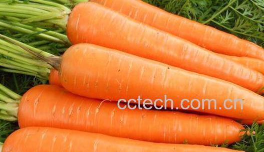 胡萝卜-0