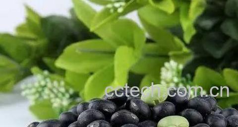 黑豆功效-1