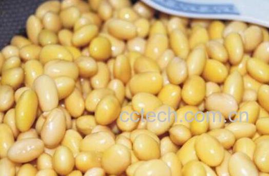 黄豆怎么去皮 黄豆去皮的方法技巧-1