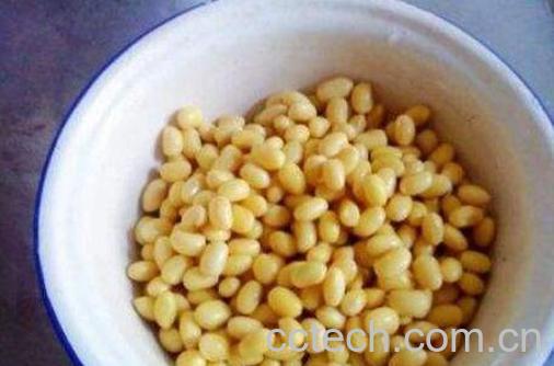 黄豆怎么去皮 黄豆去皮的方法技巧-0