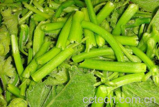 南瓜藤怎么去绒毛 -1