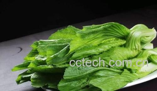 芥菜营养价值-1