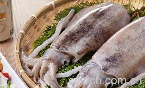 章鱼和墨鱼的功效与作用-1