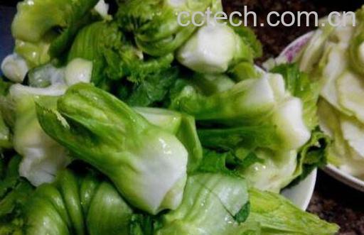 抱子芥的功效与作用 抱子芥哪些人不能吃-0