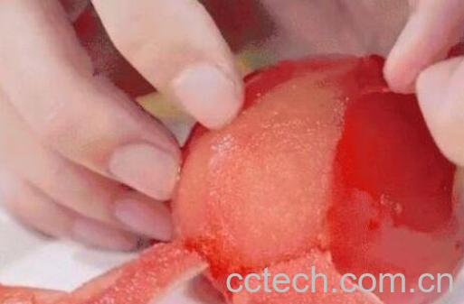 番茄怎么去皮 番茄去皮的方法技巧-1