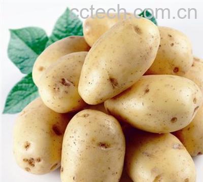土豆的功效-0