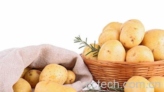 土豆的营养价值-1