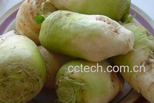 芥菜疙瘩的腌制方法有哪些-1