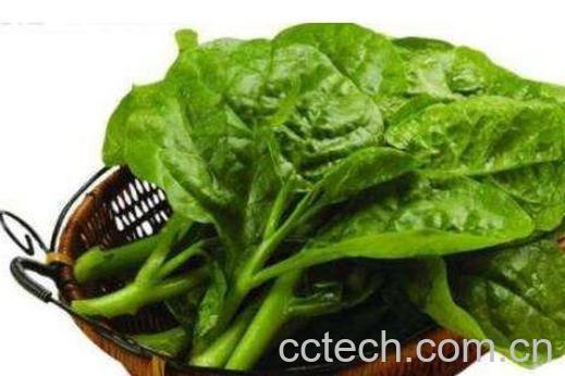 木耳菜的副作用 木耳菜怎么吃好-0