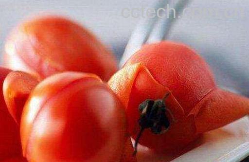 如何给番茄去皮 西红柿去皮最快的方法-0