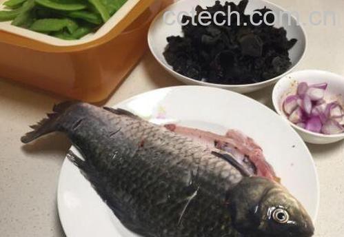 鱼的功效与作用-0