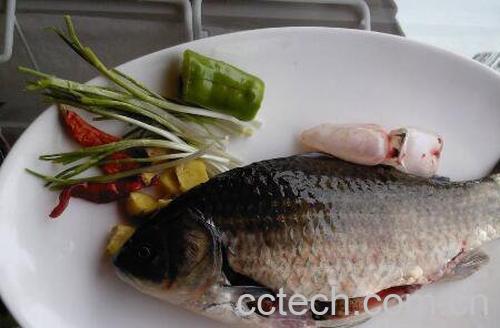 鱼的功效与作用-1