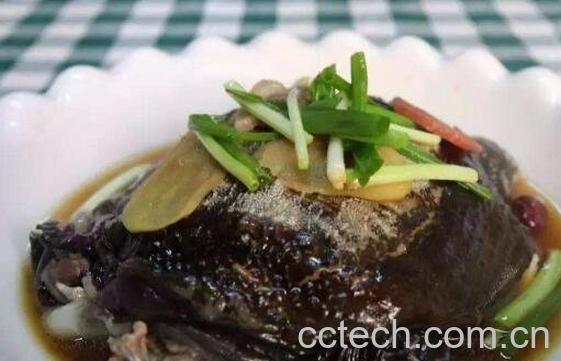 蒸龟鱼的功效和作用-0