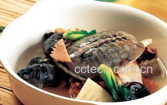 蒸龟鱼的功效和作用-1