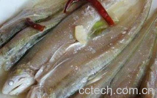 长江回鱼的功效与作用-0