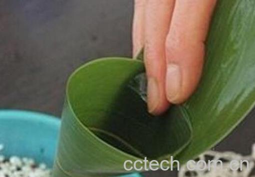 最简单的三角粽子包法 粽子的常见包法-0