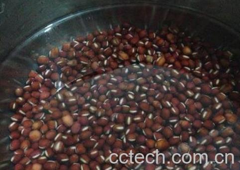 糯米泡多久可以包粽子 包粽子的红豆要泡多久-1