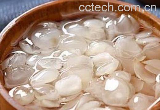 皂角米的功效与作用-1