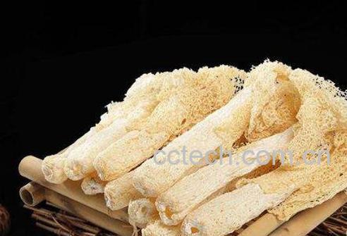 竹荪的功效与作用 竹荪怎么吃-0