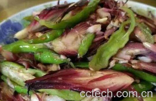 洋火姜怎么吃 洋火姜哪些人不能吃-1