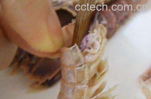 生虾怎么去皮 如何快速剥生虾壳-0