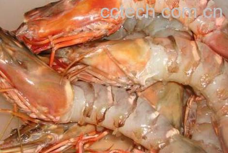 生虾怎么去皮 如何快速剥生虾壳-1