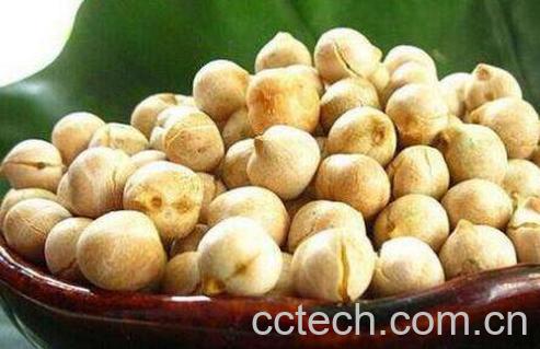 鹰嘴豆的功效与作用 鹰嘴豆的副作用-1