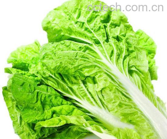 白菜的功效与作用-0