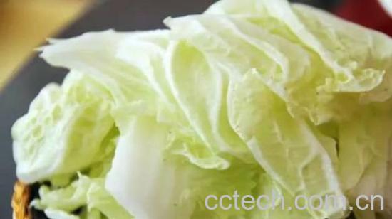 白菜的营养价值-1