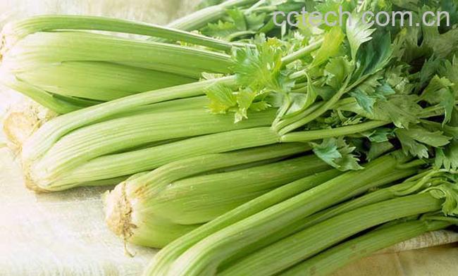 芹菜的营养价值-1