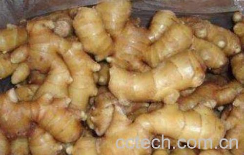 生姜如何去皮 生姜怎么去皮快 -1