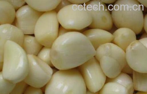 去皮蒜的腌制方法-1