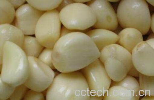 去皮蒜如何存放 剥了皮的蒜瓣怎么保存-1